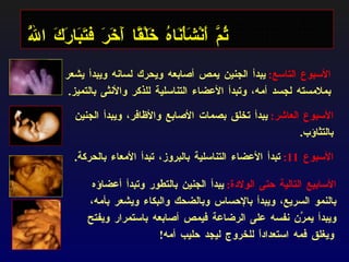 الأسابيع التالية حتى الولادة :   يبدأ الجنين بالتطور وتبدأ أعضاؤه بالنمو السريع، ويبدأ بالإحساس وبالضحك والبكاء ويشعر بأمه، ويبدأ يمرِّن نفسه على الرضاعة فيمص أصابعه باستمرار ويفتح ويغلق فمه استعداداً للخروج ليجد حليب أمه ! الأسبوع التاسع :   يبدأ الجنين يمص أصابعه ويحرك لسانه ويبدأ يشعر بملامسته لجسد أمه، وتبدأ الأعضاء التناسلية للذكر والأنثى بالتميز . الأسبوع العاشر :   يبدأ تخلق بصمات الأصابع والأظافر، ويبدأ الجنين بالتثاؤب . الأسبوع  11:   تبدأ الأعضاء التناسلية بالبروز، تبدأ الأمعاء بالحركة .  ثُمَّ أَنْشَأْنَاهُ خَلْقًا آَخَرَ فتَبَارَكَ اللَّهُ أَحْسَنُ الْخَالِقِينَ 