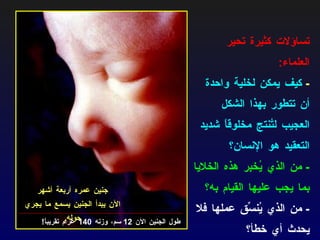 جنين عمره أربعة أشهر الآن يبدأ الجنين يسمع ما يجري حوله . تساؤلات كثيرة تحير العلماء :  -  كيف يمكن لخلية واحدة أن تتطور بهذا الشكل العجيب لتُنتج مخلوقاً شديد التعقيد هو الإنسان؟   -  من الذي يُخبر هذه الخلايا بما يجب عليها القيام به؟   -  من الذي يُنسِّق عملها فلا يحدث أي خطأ؟   طول الجنين الآن  12  سم، وزنه  140  غرام تقريباً ! 