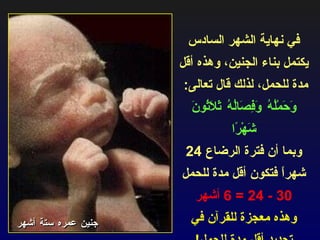 في نهاية الشهر السادس يكتمل بناء الجنين، وهذه أقل مدة للحمل، لذلك قال تعالى :  وَحَمْلُهُ وَفِصَالُهُ ثَلَاثُونَ شَهْرًا وبما أن فترة الرضاع  24  شهراً فتكون أقل مدة للحمل  30 - 24 = 6  أشهر وهذه معجزة للقرآن في تحديد أقل مدة للحمل ! جنين عمره ستة أشهر 