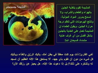 أخي القارئ !  ذات يوم كنتَ معلقاً في بطن أمك، يأتيك الرزق والغذاء ويأتيك كل شيء من دون أن تقوم بأي جهد، ألا يستحق هذا الإله العظيم أن تسجد له وتشكره على ذلك؟ !  بل إذا دعوت هذا الإله، هل يعجز عن رزقك الآن؟  المشيمة تقوم بتغذية الجنين بالهواء والطعام والشراب، ولا تسمح بمرور المواد المؤذية، وتنتج الهرمونات التي تنظم درجة حرارة الجنين، ويقول العلماء إن المشيمة تعمل على العناية بالجنين بشكل أفضل من أي غرف عناية مشددة، فسبحان الله ! المشيمة   placenta   