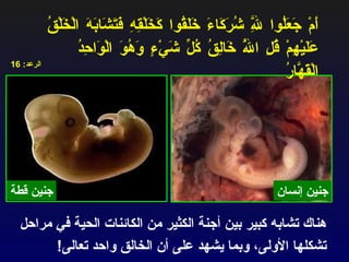 جنين إنسان جنين قطة أَمْ جَعَلُوا لِلَّهِ شُرَكَاءَ خَلَقُوا كَخَلْقِهِ فَتَشَابَهَ الْخَلْقُ عَلَيْهِمْ قُلِ اللَّهُ خَالِقُ كُلِّ شَيْءٍ وَهُوَ الْوَاحِدُ الْقَهَّارُ   الرعد : 16 هناك تشابه كبير بين أجنة الكثير من الكائنات الحية في مراحل تشكلها الأولى، وبما يشهد على أن الخالق واحد تعالى ! 