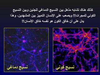 كذلك هناك تشابه مذهل بين النسيج الدماغي للجنين وبين النسيج الكوني للمجرات !!  ويصعب على الإنسان التمييز بين المشهدين، وهذا يدل على أن خالق الكون هو نفسه خالق الإنسان !! نسيج دماغي نسيج كوني 