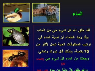 الماء لقد خلق الله كل شيء حي من الماء، وقد وجد العلماء أن نسبة الماء في تركيب المخلوقات الحية تصل لأكثر من  70  بالمئة، ولذلك قال تبارك وتعالى : وجعلنا من الماء كلَّ شيء حيّ   [ الأنبياء : 30] والله خلق كلَّ دابَّة من ماء  [ النور : 45] 