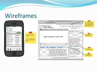 Wireframes
 