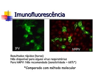 Imunofluorescência hMPV IFV Resultados rápidos (horas) Não disponível para alguns vírus respiratórios  Para hMPV: Não recomendado (sensibilidade ~ 68%*) *Comparado com método molecular 