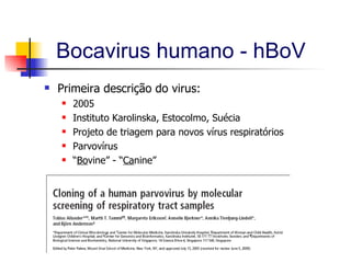 Bocavirus humano - hBoV Primeira descrição do virus: 2005 Instituto Karolinska, Estocolmo, Suécia Projeto de triagem para novos vírus respiratórios Parvovírus “ Bo vine” - “ Ca nine”  
