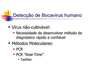 Detecção de Bocavirus humano Vírus não-cultivável: Necessidade de desenvolver método de diagnóstico rápido e confiável Métodos Moleculares: PCR PCR “Real-Time” TaqMan 