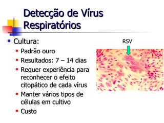 Detecção de Vírus Respiratórios Cultura: Padrão ouro Resultados: 7 – 14 dias  Requer experiência para reconhecer o efeito citopático de cada vírus Manter vários tipos de células em cultivo Custo RSV 