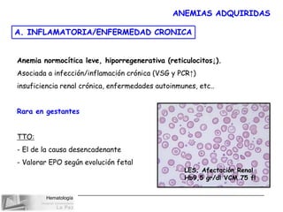 Hematología
ANEMIAS ADQUIRIDAS
A. INFLAMATORIA/ENFERMEDAD CRONICA
LES. Afectación Renal
Hb9,5 gr/dl VCM 75 fl
Anemia normocítica leve, hiporregenerativa (reticulocitos↓).
Asociada a infección/inflamación crónica (VSG y PCR↑)
insuficiencia renal crónica, enfermedades autoinmunes, etc..
Rara en gestantes
TTO:
- El de la causa desencadenante
- Valorar EPO según evolución fetal
 