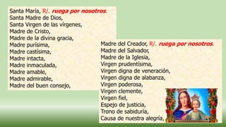 Santa María, R/. ruega por nosotros.
Santa Madre de Dios,
Santa Virgen de las vírgenes,
Madre de Cristo,
Madre de la divina gracia,
Madre purísima,
Madre castísima,
Madre intacta,
Madre inmaculada,
Madre amable,
Madre admirable,
Madre del buen consejo,
Madre del Creador, R/. ruega por nosotros.
Madre del Salvador,
Madre de la Iglesia,
Virgen prudentísima,
Virgen digna de veneración,
Virgen digna de alabanza,
Virgen poderosa,
Virgen clemente,
Virgen fiel,
Espejo de justicia,
Trono de sabiduría,
Causa de nuestra alegría,
 
