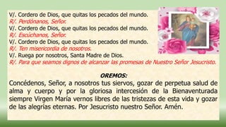 V/. Cordero de Dios, que quitas los pecados del mundo.
R/. Perdónanos, Señor.
V/. Cordero de Dios, que quitas los pecados del mundo.
R/. Escúchanos, Señor.
V/. Cordero de Dios, que quitas los pecados del mundo.
R/. Ten misericordia de nosotros.
V/. Ruega por nosotros, Santa Madre de Dios.
R/. Para que seamos dignos de alcanzar las promesas de Nuestro Señor Jesucristo.
OREMOS:
Concédenos, Señor, a nosotros tus siervos, gozar de perpetua salud de
alma y cuerpo y por la gloriosa intercesión de la Bienaventurada
siempre Virgen María vernos libres de las tristezas de esta vida y gozar
de las alegrías eternas. Por Jesucristo nuestro Señor. Amén.
 