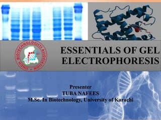 ESSENTIALS OF GEL
ELECTROPHORESIS
Presenter
TUBA NAFEES
M.Sc. In Biotechnology, University of Karachi
1
 