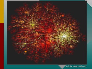 źródło: www.caida.org 