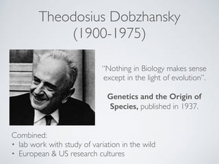Theodosius Dobzhansky 
(1900-1975) 
“Nothing in Biology makes sense 
except in the light of evolution”. ! 
! 
Genetics and the Origin of 
Species, published in 1937. 
Combined:! 
• lab work with study of variation in the wild! 
• European & US research cultures 
 