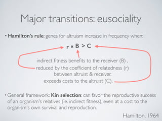 Major transitions: eusociality ! 
• Hamilton’s rule: genes for altruism increase in frequency when: 
r ₒ  C 
indirect fitness benefits to the receiver (B) , 
reduced by the coefficient of relatedness (r) ! 
Hamilton, 1964 
B 
between altruist  receiver, 
exceeds costs to the altruist (C). 
•General framework: Kin selection: can favor the reproductive success 
of an organism's relatives (ie. indirect fitness), even at a cost to the 
organism's own survival and reproduction. 
 