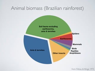 Animal biomass (Brazilian rainforest) 
Mammals 
Birds 
Reptiles 
Other insects Amphibians 
from Fittkau  Klinge 1973 
! 
Earthworms 
! 
! 
Spiders 
Soil fauna excluding 
earthworms, 
ants  termites 
Ants  termites 
 