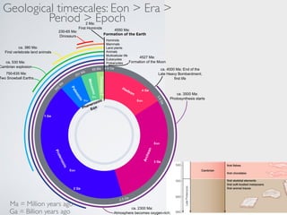 Geological timescales: Eon  Era  
Period  Epoch 
4550 Ma: 
Hominids 
Mammals 
Land plants 
Animals 
Multicellular life 
Eukaryotes 
Prokaryotes 
Hadean 
Archean 
Proterozoic 
Paleozoic 
Mesozoic 
Cenozoic 
4527 Ma: 
Formation of the Moon 
4.6 Ga 
4 Ga 
3.8 Ga 
3 Ga 
2.5 Ga 
2 Ga 
First vertebrate land animals 
1 Ga 
542 Ma 
251 Ma 65 Ma 
ca. 4000 Ma: End of the 
Late Heavy Bombardment; 
first life 
ca. 3500 Ma: 
Photosynthesis starts 
ca. 2300 Ma: 
Atmosphere becomes oxygen-rich; 
ca. 380 Ma: 
ca. 530 Ma: 
Cambrian explosion 
750-635 Ma: 
Two Snowball Earths 
230-65 Ma: 
Dinosaurs 
2 Ma: 
First Hominids 
Ma = Million years ago 
Ga = Billion years ago 
Eon 
Eon 
Eon 
Era 
Era 
Era 
Phanerozoic! 
Eon 
 