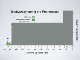 Biodiversity during the Phanerozoic 
All Genera 
Well-Resolved Genera 
Long-Term Trend 
The “Big 5” Mass Extinctions 
Other Extinction Events 
542 500 450 400 350 300 250 200 150 100 50 0 
5 
4 
3 
2 
1 
0 
Millions of Years Ago 
Thousands of Genera 
Cm O S D C P T J K Pg N 
Cambrian 
 