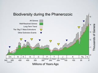 Biodiversity during the Phanerozoic 
All Genera 
Well-Resolved Genera 
Long-Term Trend 
The “Big 5” Mass Extinctions 
Other Extinction Events 
542 500 450 400 350 300 250 200 150 100 50 0 
5 
4 
3 
2 
1 
0 
Millions of Years Ago 
Thousands of Genera 
Cm O S D C P T J K Pg N 
Cambrian 
Permian Triassic Jurassic 
 