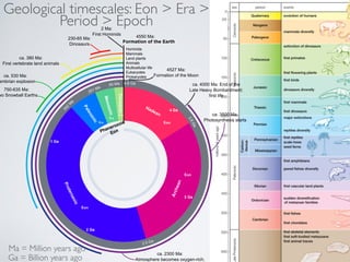 Geological timescales: Eon  Era  
Period  Epoch 
4550 Ma: 
Hominids 
Mammals 
Land plants 
Animals 
Multicellular life 
Eukaryotes 
Prokaryotes 
Hadean 
Archean 
Proterozoic 
Paleozoic 
Mesozoic 
Cenozoic 
4527 Ma: 
Formation of the Moon 
4.6 Ga 
4 Ga 
3.8 Ga 
3 Ga 
2.5 Ga 
2 Ga 
First vertebrate land animals 
1 Ga 
542 Ma 
251 Ma 65 Ma 
ca. 4000 Ma: End of the 
Late Heavy Bombardment; 
first life 
ca. 3500 Ma: 
Photosynthesis starts 
ca. 2300 Ma: 
Atmosphere becomes oxygen-rich; 
ca. 380 Ma: 
ca. 530 Ma: 
Cambrian explosion 
750-635 Ma: 
Two Snowball Earths 
230-65 Ma: 
Dinosaurs 
2 Ma: 
First Hominids 
Ma = Million years ago 
Ga = Billion years ago 
Eon 
Eon 
Eon 
Era 
Era 
Era 
Phanerozoic! 
Eon 
 