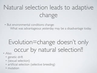 Natural selection leads to adaptive 
change 
• But environmental conditions change: 
What was advantageous yesterday may be a disadvantage today. 
Evolution=change doesn’t only 
occur by natural selection!! 
! 
• Also: ! 
• genetic drift! 
• (sexual selection)! 
• artificial selection (selective breeding)! 
• mutation 
 