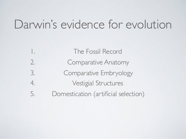 Darwin S Theory Of Natural Selection Doesn T Work Darwin S Theory Of Natural Selection Doesn T Work