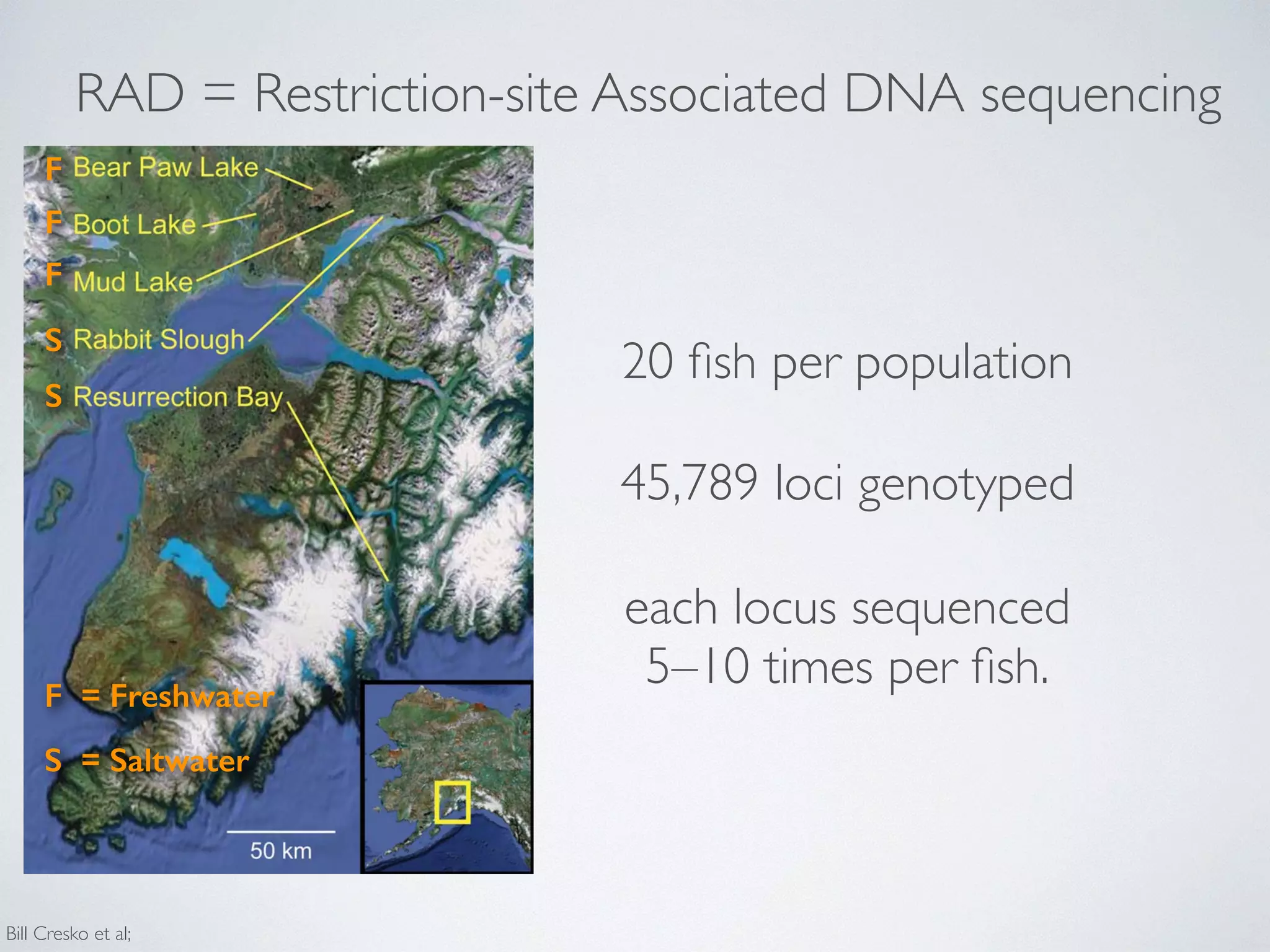 RAD = Restriction-site Associated DNA sequencing 
each locus sequenced 
5–10 times per fish. 
F 
F 
F = Freshwater 
Bill Cresko et al; 
The freshwater populations, despite their younger age, are more 
divergent both from the oceanic ancestral populations and from 
each other, consistent with our supposition that they represent 
independent colonizations from the ancestral oceanic population. 
These results are remarkably similar to results obtained previously 
from some of these same populations using a small number of 
microsatellite and mtDNA markers [55]. This combination of 
large amounts of genetic variation and overall low-to-moderate 
differentiation between populations, coupled with recent and rapid 
phenotypic evolution in the freshwater populations, presents an 
ideal situation for identifying genomic regions that have responded 
to various kinds of natural selection. 
Patterns of genetic diversity distributed across the 
genome 
To assess genome-wide patterns we examined mean nucleotide 
diversity (p) and heterozygosity (H) using a Gaussian kernel 
smoothing function across each linkage group (Figure 4 and Figure 
S1). Although the overall mean diversity and heterozygosity values 
are 0.00336 and 0.00187, respectively, values vary widely across 
the genome. Nucleotide diversity within genomic regions ranges 
from 0.0003 to over 0.01, whereas heterozygosity values range 
from 0.0001 to 0.0083. This variation in diversity across the 
genome provides important clues to the evolutionary processes 
that are maintaining genetic diversity. For example, while 
expected (p) and observed (H) heterozygosity largely correspond, 
they differ at a few genomic regions (e.g., on Linkage Group XI). 
Genomic regions that exhibit significantly (p,1025) low levels of 
diversity and heterozygosity (e.g. on LG II and V, Figure 4 
and Figure S1) may be the result of low mutation rate, 
low recombination rate, purifying or positive selection that is 
consistent across populations, or some combination of factors 
[9,36,105–107]. 
In contrast, other genomic regions, such as those on LG III and 
XIII (Figure 4), show very high levels of both diversity and 
heterozygosity. The most striking such region, found near the end 
Figure 1. Location of oceanic and freshwater populations 
examined. Threespine stickleback were sampled from three freshwa-ter 
(Bear Paw Lake [BP], Boot Lake [BL], Mud Lake [ML]) and two oceanic 
Population Genomics in Stickleback 
F 
S 
S 
S = Saltwater 
20 fish per population 
45,789 loci genotyped 
 
