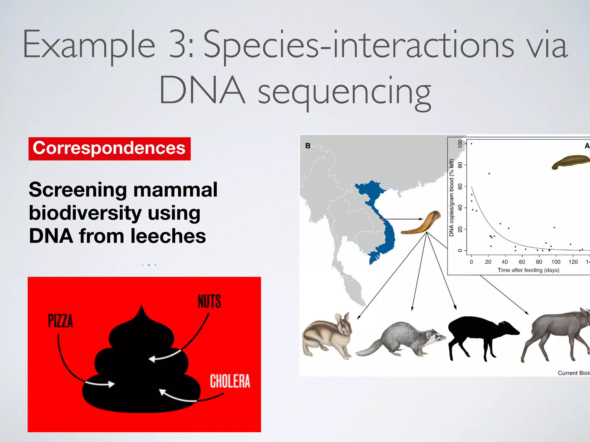 Example 3: Species-interactions via 
DNA sequencing 
Correspondences Screening mammal 
biodiversity using 
DNA from leeches 
Ida Bærholm Schnell1,2,†, 
Philip Francis Thomsen2,†, 
Nicholas Wilkinson3, 
Morten Rasmussen2, 
Lars R.D. Jensen1, Eske Willerslev2, 
Mads F. Bertelsen1, 
and M. Thomas P. Gilbert2,* 
With nearly one quarter of mammalian 
species threatened, an accurate 
description of their distribution and 
conservation status is needed [1]. 
For rare, shy or cryptic species, 
in the medical leech (Hirudo medicinalis) 
viruses remain detectable in the blood 
meal for up to 27 weeks, indicating viral 
nucleic acid survival [4,5]. To examine 
whether PCR amplifiable mammalian 
DNA persists in ingested blood, we 
fed 26 medical leeches (Hirudo spp.) 
freshly drawn goat (Capra hircus) 
blood (Supplemental information) then 
sequentially killed them over 141 days. 
Following extraction of total DNA, a 
goat-specific quantitative PCR assay 
demonstrated mitochondrial DNA 
(mtDNA) survival in all leeches, thus 
persistence of goat DNA, for at least 
4 months (Figure 1A; Supplemental 
information). 
We subsequently applied the 
method to monitor terrestrial 
mammal biodiversity in a challenging 
environment. Haemadipsa spp. leeches 
were collected in a densely forested 
biotope in the Central Annamite region 
how 
new 
into 
John 
expression in 
differentiation. 
sex 
586. 
genes 
central 
fish. 
determination 
Magazine 
R263 
Figure 1. Monitoring mammals with leeches. 
(A) Survival of mtDNA in goat blood ingested by Hirudo medicinalis over time, relative to freshly 
drawn sample (100%, ca. 2.4E+09 mtDNA copies/gram blood). Mitochondrial DNA remained 
detectable in all fed leeches, with a minimum observed level at 1.6E+04 mtDNA/gram blood 
ingested. The line shows a simple exponential decay model, p < 0.001, R2 = 0.43 (Supplemental 
information). (B) Vietnamese field site location and examples of mammals identified in Hae-madipsa 
spp. leeches. From left to right: Annamite striped rabbit, small-toothed ferret-badger, 
 