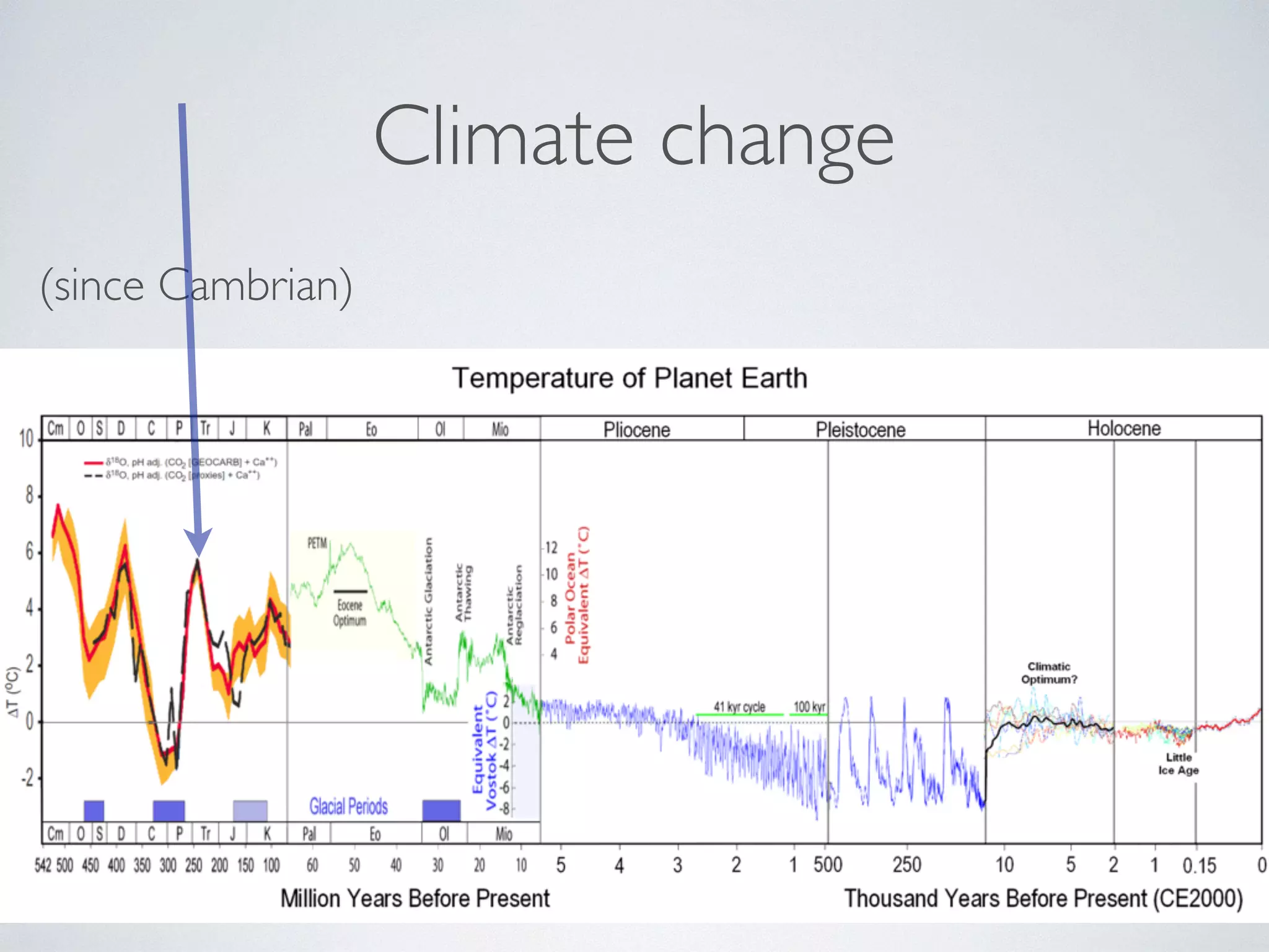 Climate change 
(since Cambrian) 
 