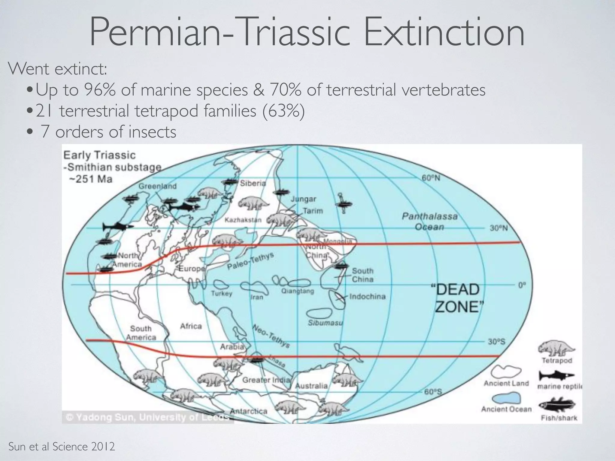 Permian-Triassic Extinction 
Went extinct: 
•Up to 96% of marine species & 70% of terrestrial vertebrates 
•21 terrestrial tetrapod families (63%) 
• 7 orders of insects 
Sun et al Science 2012 
 
