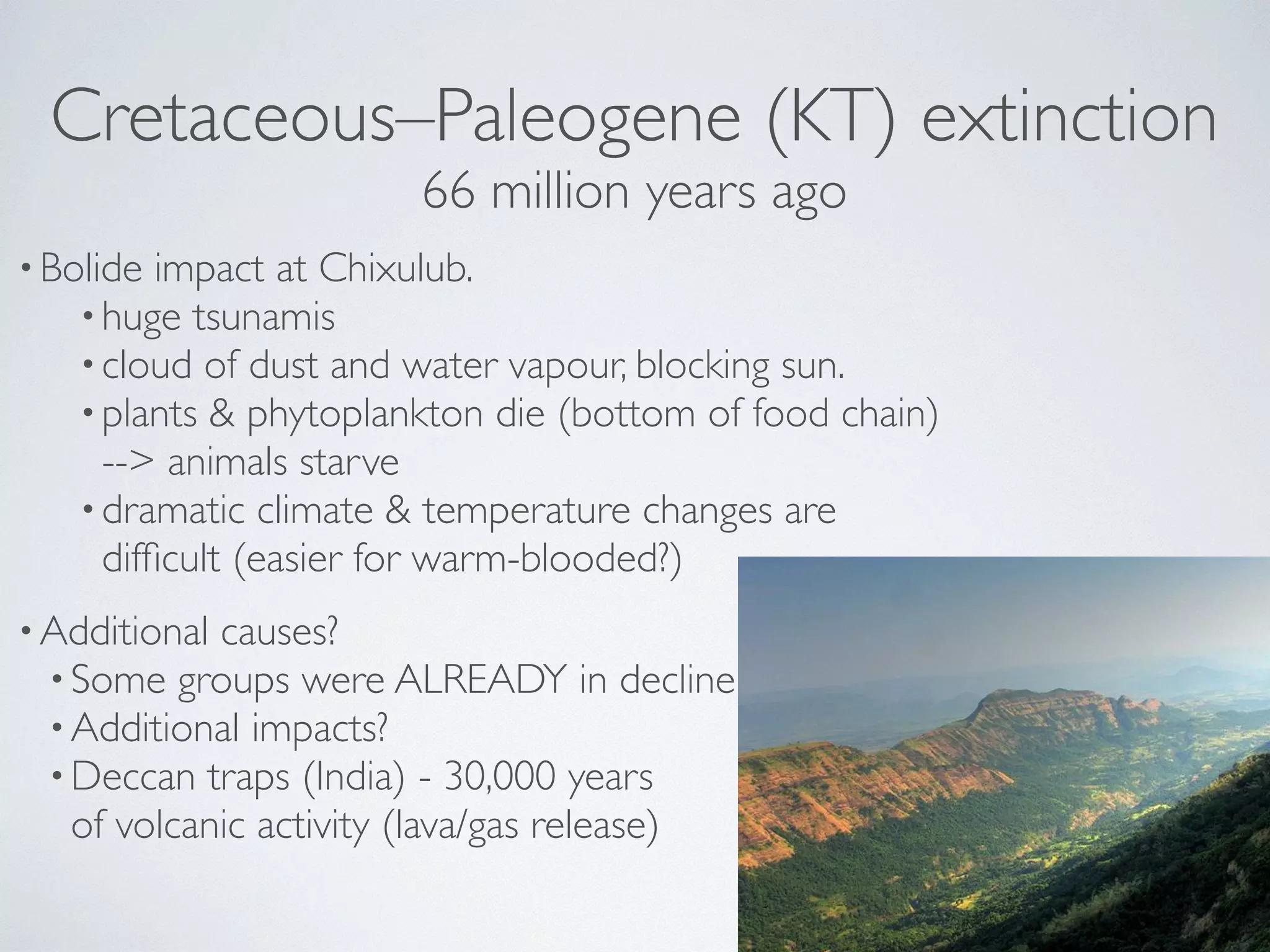 Cretaceous–Paleogene (KT) extinction 
66 million years ago 
•Bolide impact at Chixulub. 
•huge tsunamis 
• cloud of dust and water vapour, blocking sun. 
•plants & phytoplankton die (bottom of food chain) 
--> animals starve 
•dramatic climate & temperature changes are 
difficult (easier for warm-blooded?) 
•Additional causes? 
• Some groups were ALREADY in decline 
•Additional impacts? 
•Deccan traps (India) - 30,000 years 
of volcanic activity (lava/gas release) 
 