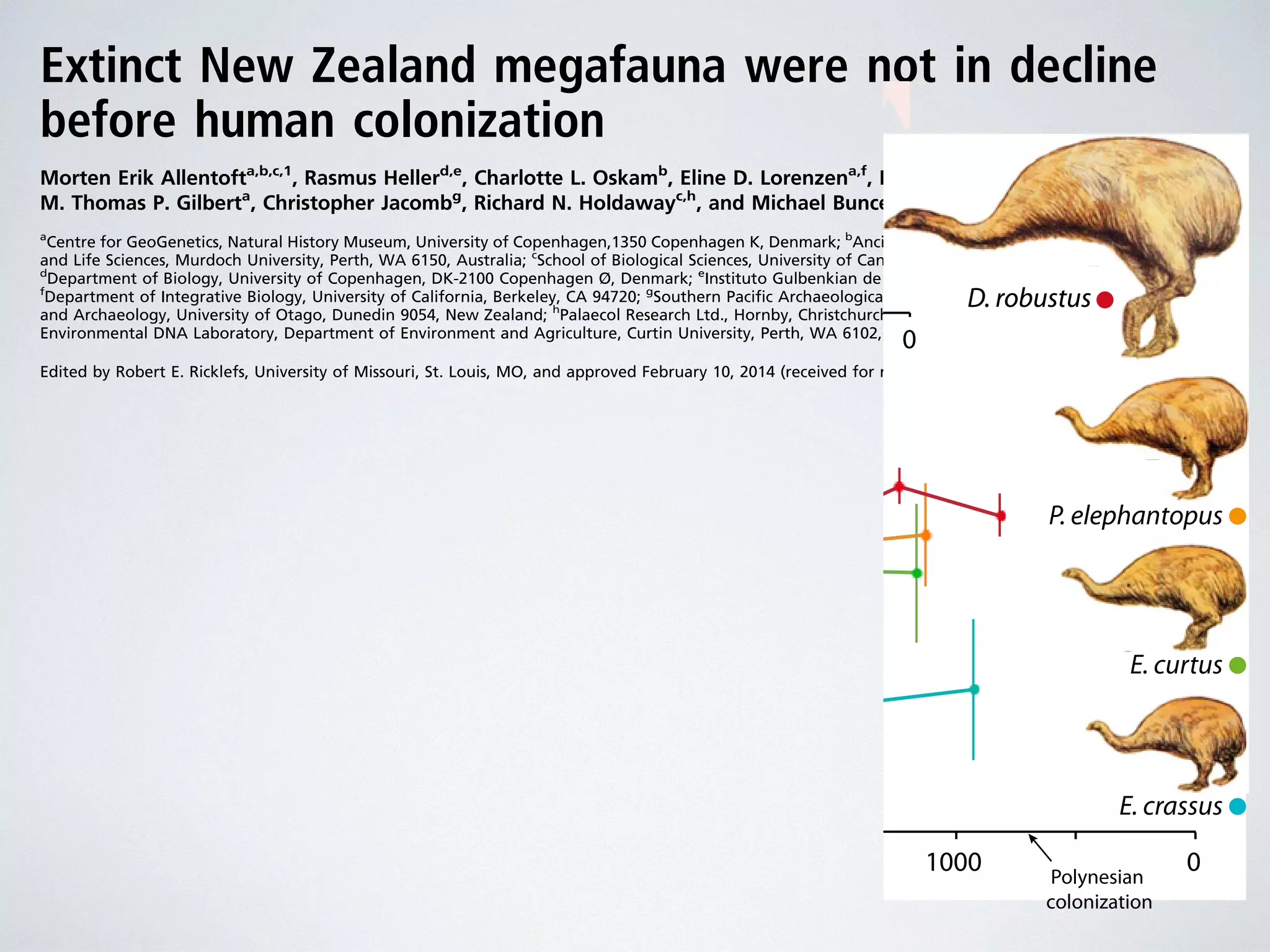 Extinct New 1.Zealand E5 
megafauna were not in decline 
before human colonization 
Morten Erik Allentofta,b,c,1, 1.Rasmus Gilberta, E4 
Hellerd,e, Charlotte L. Oskamb, Eline D. Lorenzena,f, Marie L. Halec, 
M. Thomas P. Christopher Jacombg, Richard N. Holdawayc,h, and Michael Bunceb,i,1 
aCentre for GeoGenetics, Natural History Museum, University of Copenhagen,1350 Copenhagen K, Denmark; bAncient DNA Laboratory, School of Veterinary 
and Life Sciences, Murdoch University, Perth, WA 6150, Australia; cSchool of Biological Sciences, University of Canterbury, Christchurch 8140, New Zealand; 
dDepartment of Biology, University of Copenhagen, DK-2100 Copenhagen Ø, Denmark; eInstituto Gulbenkian de Ciência, 6 P-2780-156 Oeiras, Portugal; 
fDepartment of Integrative Biology, University of California, Berkeley, CA 94720; gSouthern Pacific Archaeological Research, Department of Anthropology 
and Archaeology, University of Otago, Dunedin 9054, New Zealand; hPalaecol Research Ltd., Hornby, Christchurch 8042, New Zealand; and iTrace and 
Environmental DNA Laboratory, Department of Environment and Agriculture, Curtin University, Perth, WA 6102, Australia 
Edited by Robert E. Ricklefs, University of Missouri, St. Louis, MO, and approved February 10, 2014 (received for review August 7, 2013) 
The extinction of New Zealand’s moa (Aves: Dinornithiformes) fol-lowed 
the arrival of humans in the late 13th century and was the 
0.8 
final event of the prehistoric Late Quaternary megafauna extinc-tions. 
Determining the state of the moa populations in the pre-extinction 
period is fundamental to understanding the causes of 
the event. We sampled 281 moa individuals and combined radio-carbon 
dating with ancient DNA 0.6 
analyses to help resolve the ex-tinction 
debate and gain insights into moa biology. The samples, 
which were predominantly from the last 4,000 years preceding the 
extinction, represent four sympatric moa species excavated from 
five adjacent fossil deposits. We characterized the moa assem-blage 
0.4 
using mitochondrial DNA and nuclear microsatellite markers 
developed specifically for moa. Although genetic diversity differed 
significantly among the four species, we found that the millennia 
preceding the extinction were characterized by a remarkable de-gree 
0.2 
of genetic stability in all species, with no loss of heterozygos-ity 
and no shifts in allele frequencies over time. The extinction event 
itself was too rapid to bemanifested in the moa gene pools. Contra-dicting 
previous claims of a decline in moa before Polynesian settle-ment 
in New Zealand, our findings indicate that the populations 
were large and stable before suddenly disappearing. This interpre-tation 
is supported by approximate Bayesian computation analyses. 
Our analyses consolidate the disappearance of moa as the most 
rapid, human-facilitated megafauna extinction documented 
to date. 
birds ranging in size from the ∼12-kg North Island morph of 
Euryapteryx curtus to the ∼250-kg females of the two Dinornis 
species (8). Moa inhabited a variety of habitats across the New 
Zealand archipelago until their extinction shortly after the ar-rival 
of Polynesian settlers, estimated at approximately the late 
13th century (8–10, 12). The abundance of well-preserved ar-chaeological 
sites containing evidence of large-scale exploitation 
of moa (e.g., ref. 13) brings the controversy of the role of humans 
in the extinction event into sharp focus. 
Early claims of environmental changes or poor adaptive abil-ities 
of moa as causes for the extinction (reviewed in ref. 8) have 
now been largely replaced by the view that direct or indirect 
human impacts—including hunting, fires, and the introduction of 
exotic species—were the primary drivers (14–18). Ecological 
modeling suggests that such human-mediated extinction could 
have happened within 100 y of Polynesian colonization (10). In 
contrast, it has been argued, based on limited mitochondrial 
DNA (mtDNA) data, that moa populations had already col-lapsed 
before human arrival, as a consequence of volcanic 
eruptions or diseases, suggesting that humans were just one of 
several additive factors responsible for the extinction (19). 
To address this issue, we investigated the demographic tra-jectories 
of four sympatric moa species in the four millennia 
leading up to their extinction. We genotyped 281 individuals of 
Dinornis robustus (Dinornithidae), Euryapteryx curtus, Pachyornis 
0.0 
D. robustus 
P. elephantopus 
E. curtus 
E. crassus 
20 10 0 
Time (kyr) 
Time (yr BP) 
Polynesian 
colonization 
40 30 
3000 2000 1000 0 
1.E3 
B 
Expected heterozygosity H Log Ne*τ E 
Fig. 3. Demographic history and genetic diversity. (A) Bayesian skyline plot 
 