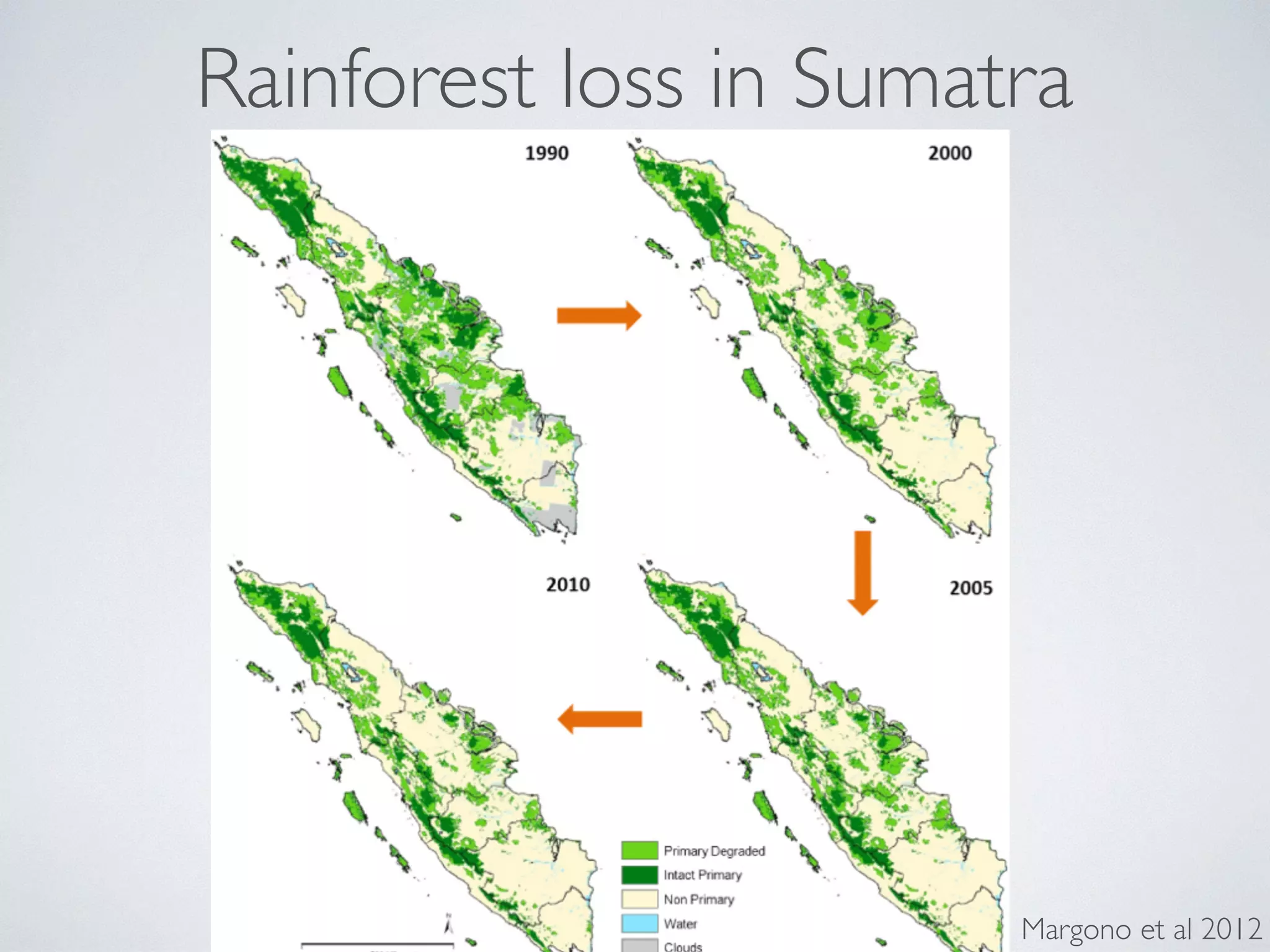 Rainforest loss in Sumatra 
Margono et al 2012 
 