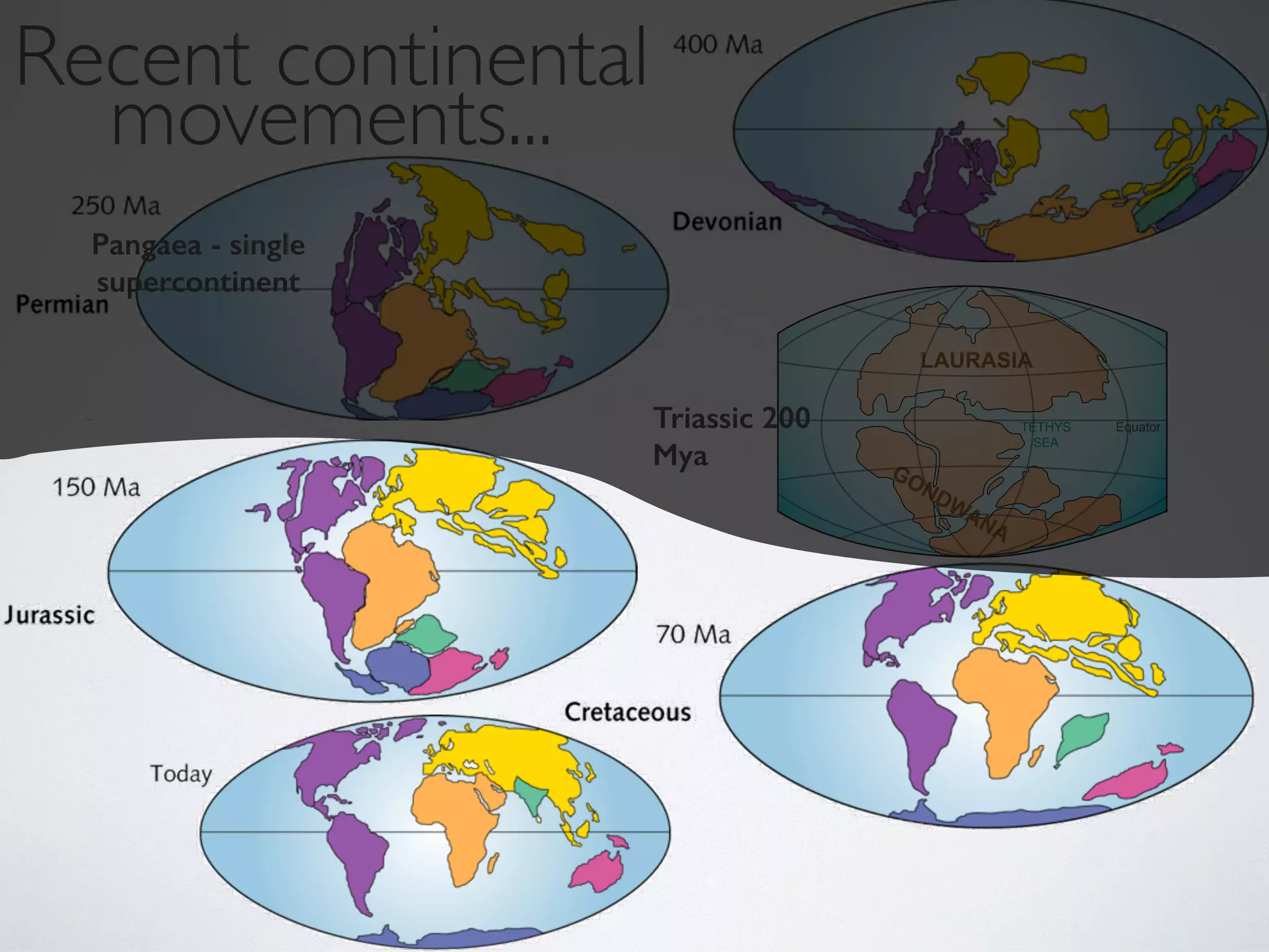Recmeonvt ecmonetnintse..n. tal 
LAURASIA 
GONDWANA 
Triassic 200 
TETHYS 
Equator Mya 
SEA 
Pangaea - single 
supercontinent 
 