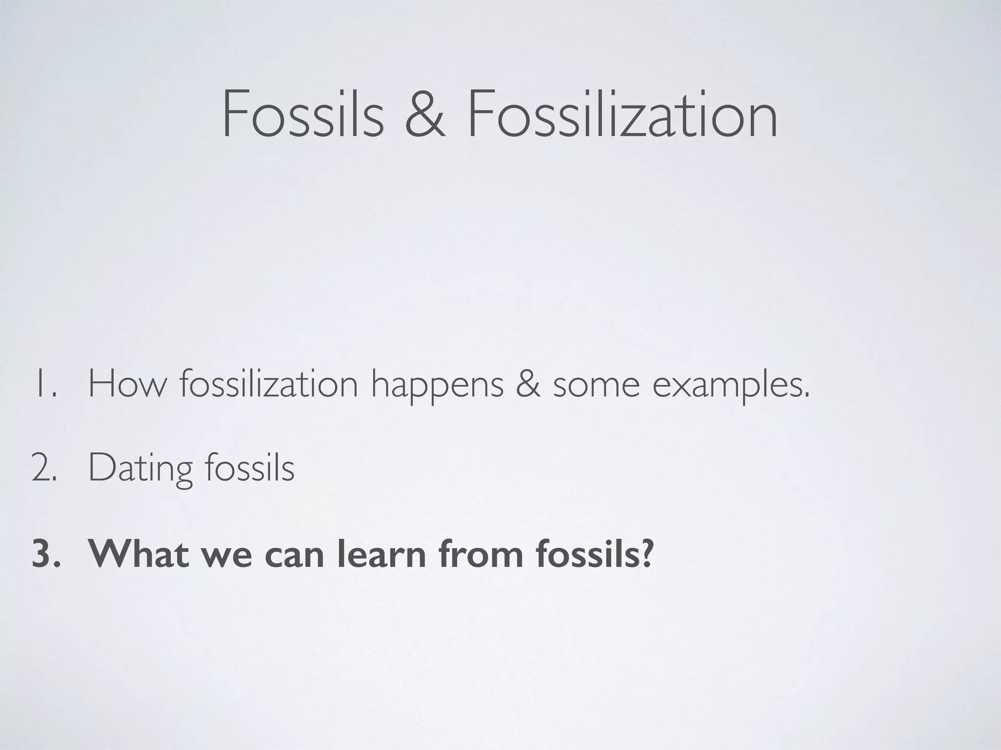 Fossils & Fossilization 
1. How fossilization happens & some examples. 
2. Dating fossils 
3. What we can learn from fossils? 
 