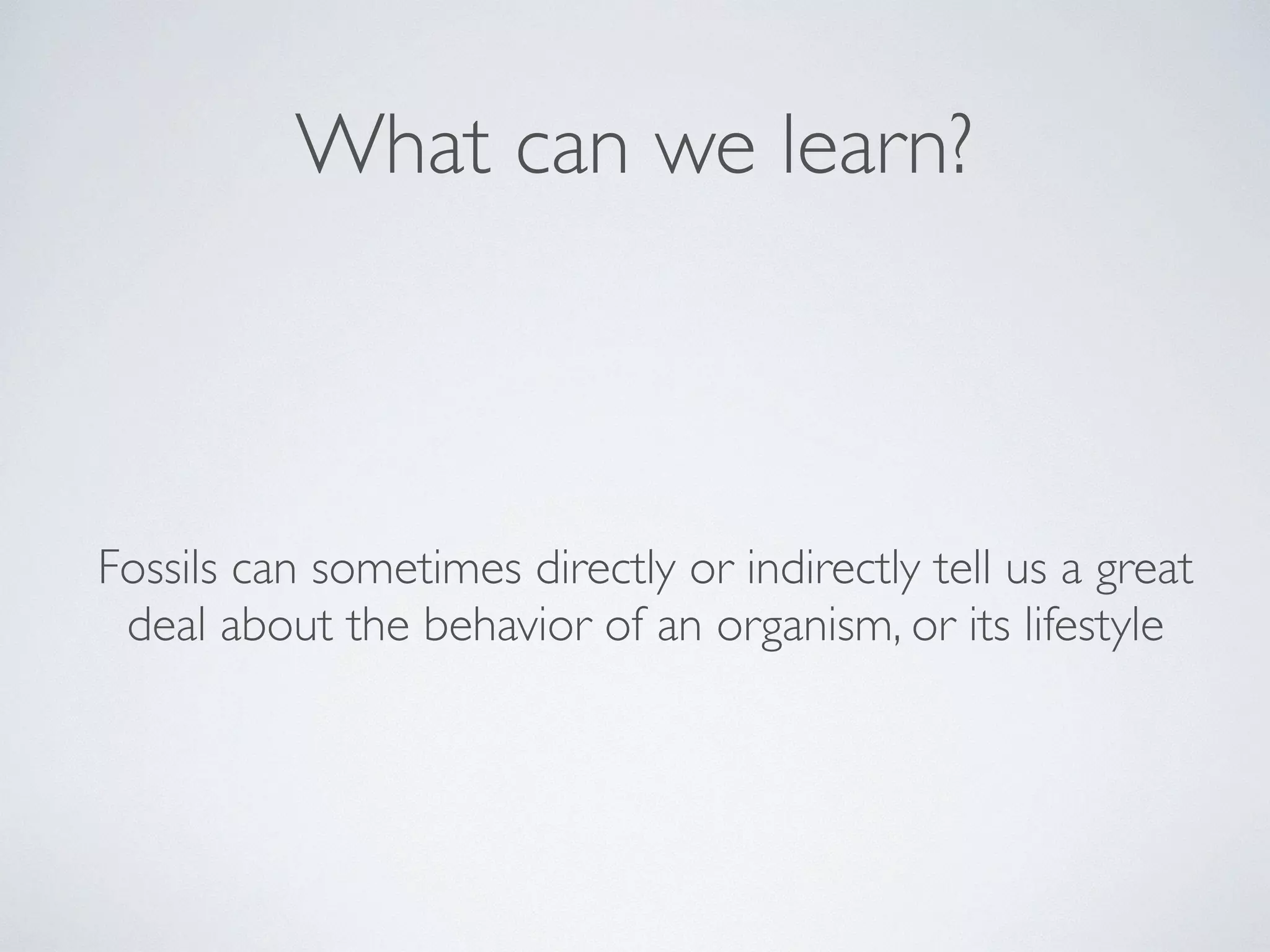 What can we learn? 
Fossils can sometimes directly or indirectly tell us a great 
deal about the behavior of an organism, or its lifestyle 
 