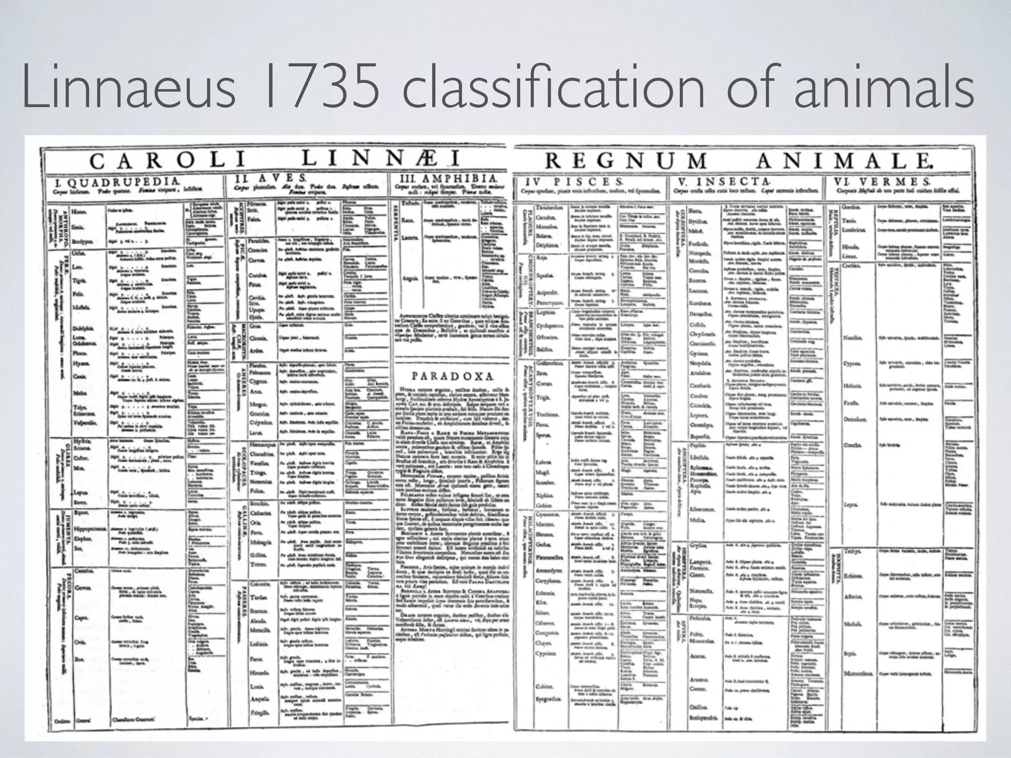 Linnaeus 1735 classification of animals 
 