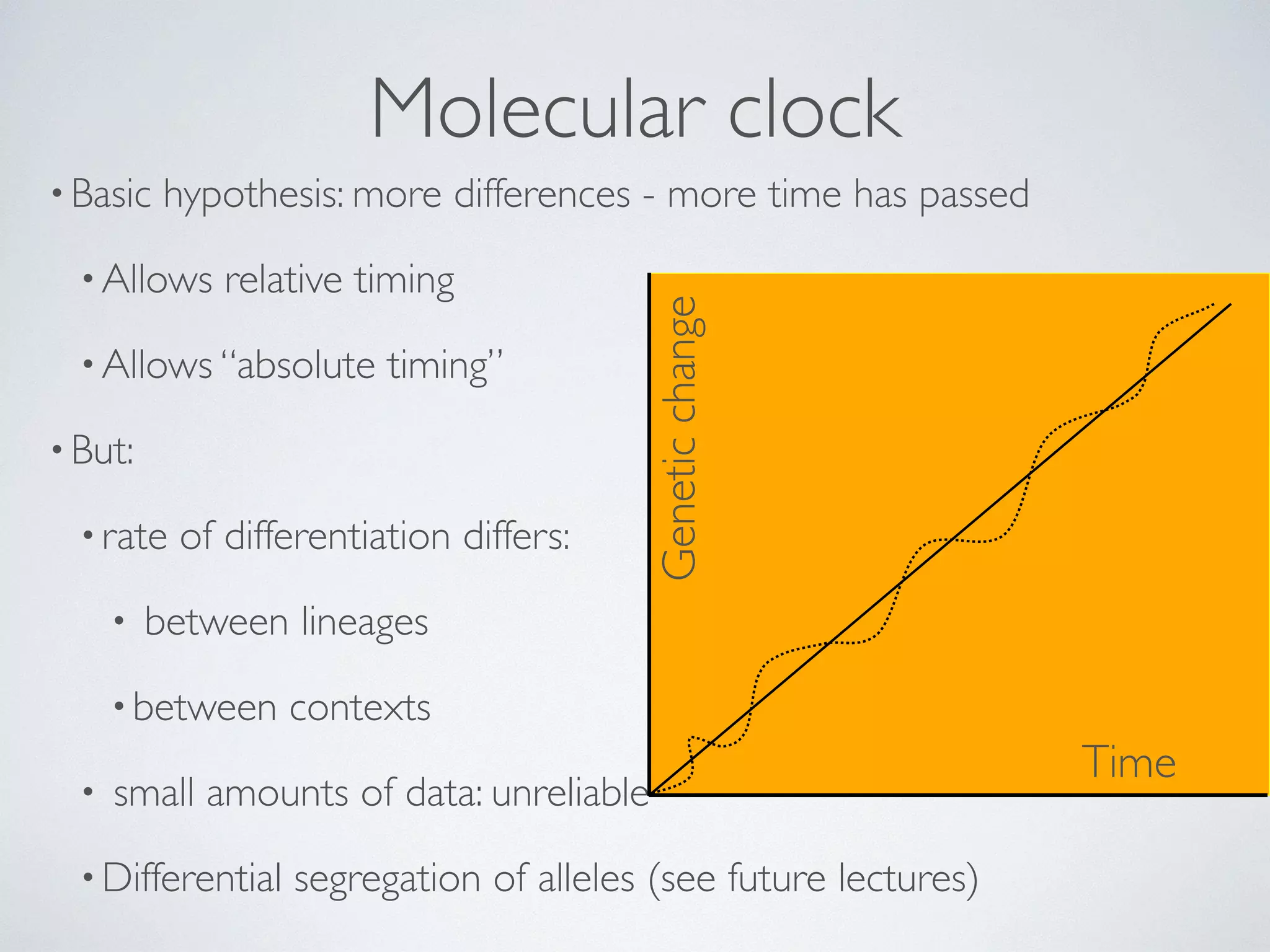 Molecular clock 
•Basic hypothesis: more differences - more time has passed 
• Allows relative timing 
• Allows “absolute timing” 
• But: 
• rate of differentiation differs: 
• between lineages 
•between contexts 
• small amounts of data: unreliable 
•Differential segregation of alleles (see future lectures) 
Time 
Genetic change 
 