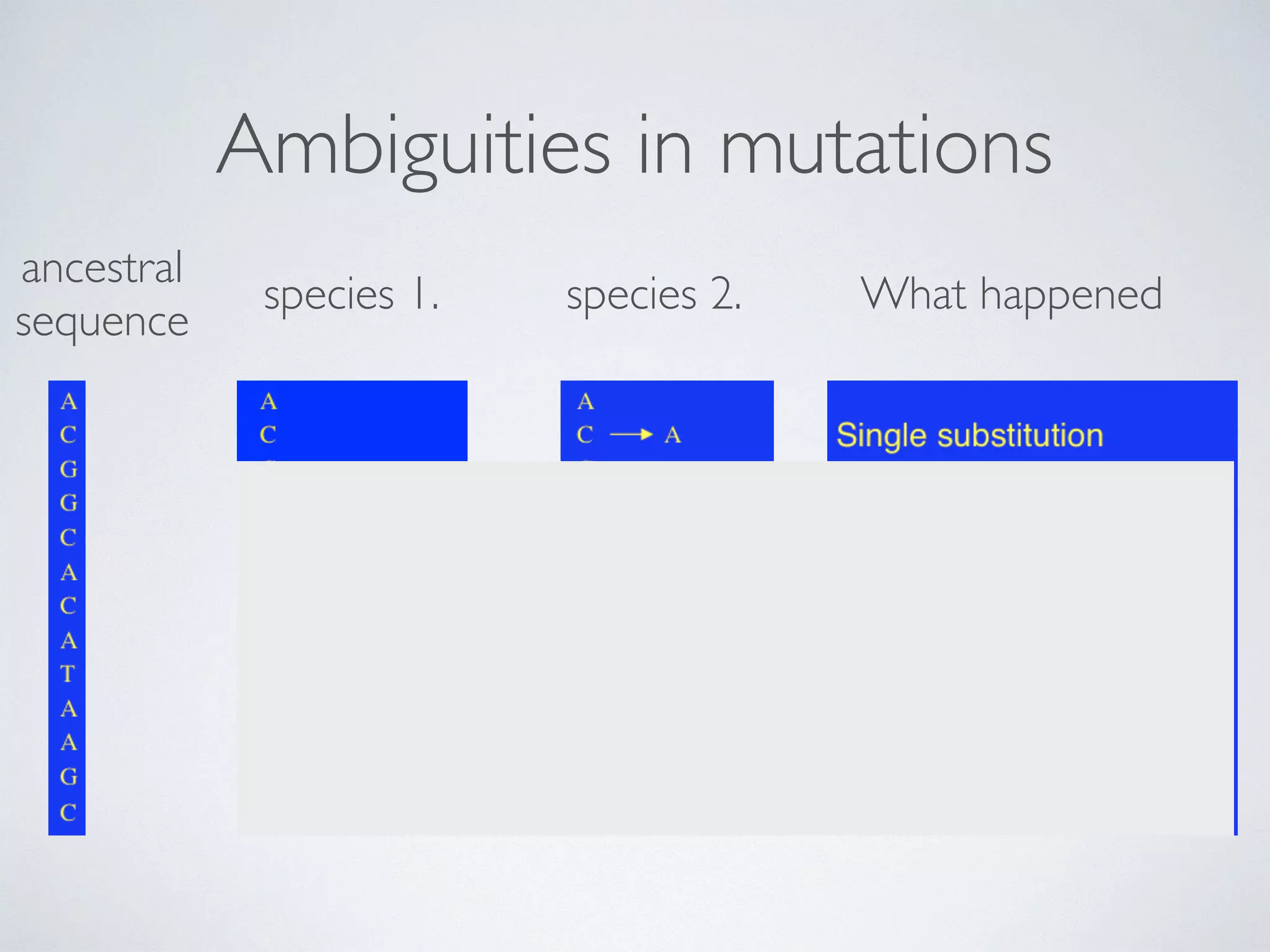 Ambiguities in mutations 
ancestral 
sequence species 1. species 2. What happened 
 