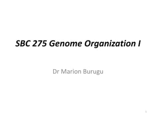 SBC 275 Genome Organization I
Dr Marion Burugu
1
 