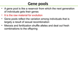 Gene pools
• A gene pool is like a reservoir from which the next generation
of individuals gets their genes
• It is the raw material for evolution
• Gene pools reflect the variation among individuals that is
largely a result of sexual recombination
• Meiosis and fertilization shuffle alleles and deal out fresh
combinations to the offspring
 