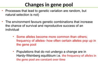 Changes in gene pool
• Processes that lead to genetic variation are random, but
natural selection is not)
• The environment favours genetic combinations that increase
the chance of survival and reproductive success of an
individual
• Some alleles become more common than others;
frequency of alleles- how often certain alleles pop up in
the gene pool
• Populations that do not undergo a change are in
Hardy-Weinberg equilibium i.e. the frequency of alleles in
the gene pool are constant over time
 