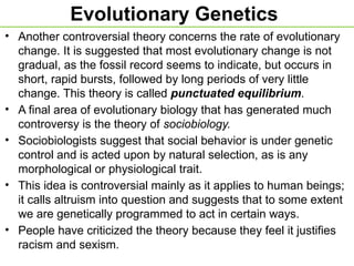 Evolutionary Genetics
• Another controversial theory concerns the rate of evolutionary
change. It is suggested that most evolutionary change is not
gradual, as the fossil record seems to indicate, but occurs in
short, rapid bursts, followed by long periods of very little
change. This theory is called punctuated equilibrium.
• A final area of evolutionary biology that has generated much
controversy is the theory of sociobiology.
• Sociobiologists suggest that social behavior is under genetic
control and is acted upon by natural selection, as is any
morphological or physiological trait.
• This idea is controversial mainly as it applies to human beings;
it calls altruism into question and suggests that to some extent
we are genetically programmed to act in certain ways.
• People have criticized the theory because they feel it justifies
racism and sexism.
 