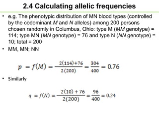 2.4 Calculating allelic frequencies
• e.g. The phenotypic distribution of MN blood types (controlled
by the codominant M and N alleles) among 200 persons
chosen randomly in Columbus, Ohio: type M (MM genotype) =
114; type MN (MN genotype) = 76 and type N (NN genotype) =
10; total = 200
• MM, MN; NN
• Similarly
 