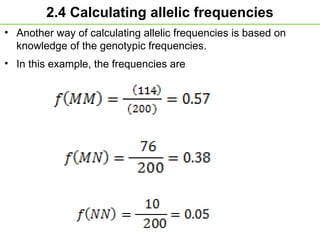 2.4 Calculating allelic frequencies
• Another way of calculating allelic frequencies is based on
knowledge of the genotypic frequencies.
• In this example, the frequencies are
 