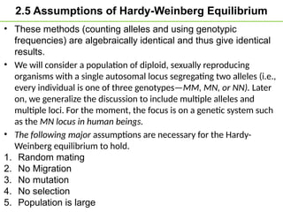 2.5 Assumptions of Hardy-Weinberg Equilibrium
• These methods (counting alleles and using genotypic
frequencies) are algebraically identical and thus give identical
results.
• We will consider a population of diploid, sexually reproducing
organisms with a single autosomal locus segregating two alleles (i.e.,
every individual is one of three genotypes—MM, MN, or NN). Later
on, we generalize the discussion to include multiple alleles and
multiple loci. For the moment, the focus is on a genetic system such
as the MN locus in human beings.
• The following major assumptions are necessary for the Hardy-
Weinberg equilibrium to hold.
1. Random mating
2. No Migration
3. No mutation
4. No selection
5. Population is large
 