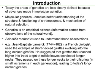 Introduction
• Today the areas of genetics are less clearly defined because
of advances made in molecular genetics.
• Molecular genetics - enables better understanding of the
structure & functioning of chromosomes, & mechanism of
natural selection.
• Genetics is an empirical science (information comes from
observations of the natural world).
• Scientific method is used to understand these observations.
• e.g., Jean-Baptiste Lamarck (1744–1829), a French biologist,
used the example of short-necked giraffes evolving into the
long-necked giraffes. He suggested that giraffes that reached
higher into trees to get at edible leaves developed longer
necks. They passed on these longer necks to their offspring (in
small increments in each generation), leading to today’s long-
necked giraffes.
 