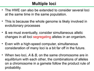 Multiple loci
• The HWE can also be extended to consider several loci
at the same time in the same population.
• This is because the whole genome is likely involved in
evolutionary processes
• & we must eventually, consider simultaneous allelic
changes in all loci segregating alleles in an organism.
• Even with a high-speed computer, simultaneous
consideration of many loci is a bit far off in the future.
• When two loci, A & B, on the same chromosome are in
equilibrium with each other, the combinations of alleles
on a chromosome in a gamete follow the product rule of
probability.
 