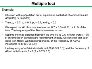 Multiple loci
Example
• let’s start with a population out of equilibrium so that all chromosomes are
AB (70%) or ab (30%).
• Then pA = 0.7, qA = 0.3, pB = 0.7, and qB = 0.3.
• We expect the Ab chromosome to occur 0.7 X 0.3 = 0.21, or 21% of the
time. The frequency of the Ab chromosome is zero.
• Assume the map distance between the two loci is 0.1; in other words, 10%
of chromatids in gametes are recombinant. Initially, we consider that each
locus is in Hardy-Weinberg proportions, or the frequency of AB/AB
individuals 0.49 (0.7 X 0.7);
• the frequency of ab/ab individuals is 0.09 (0.3 X 0.3); and the frequency of
AB/ab individuals is 0.42 (2 X 0.7 X 0.3).
 