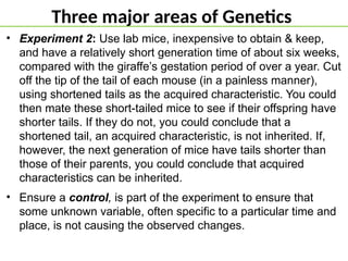 Three major areas of Genetics
• Experiment 2: Use lab mice, inexpensive to obtain & keep,
and have a relatively short generation time of about six weeks,
compared with the giraffe’s gestation period of over a year. Cut
off the tip of the tail of each mouse (in a painless manner),
using shortened tails as the acquired characteristic. You could
then mate these short-tailed mice to see if their offspring have
shorter tails. If they do not, you could conclude that a
shortened tail, an acquired characteristic, is not inherited. If,
however, the next generation of mice have tails shorter than
those of their parents, you could conclude that acquired
characteristics can be inherited.
• Ensure a control, is part of the experiment to ensure that
some unknown variable, often specific to a particular time and
place, is not causing the observed changes.
 
